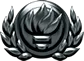 Advanced qualification badge