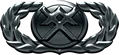 Officer badge