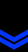 Senior Crew insignia